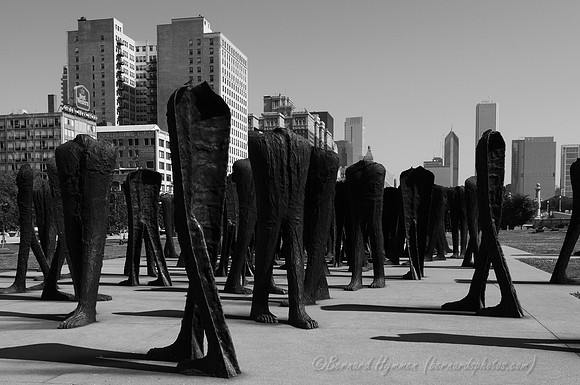 D300_64551