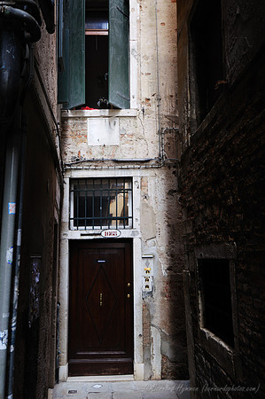 D300_44450.jpg