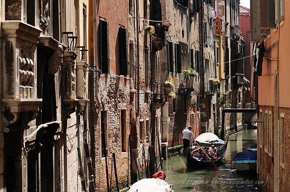 D300_44792.jpg