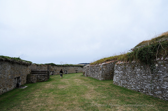 D300_100738