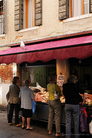 D300_45413.jpg