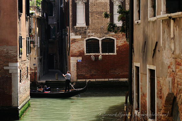 D300_44787.jpg