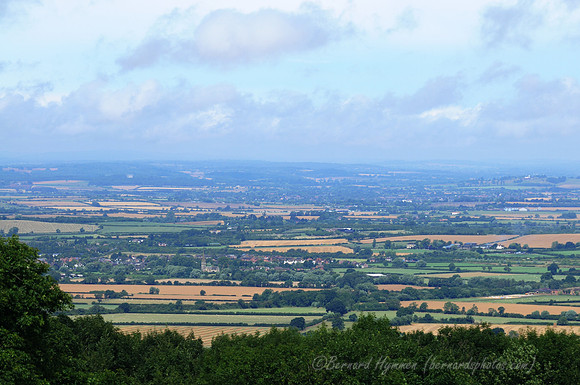 D300_99411