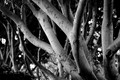 D300_57856
