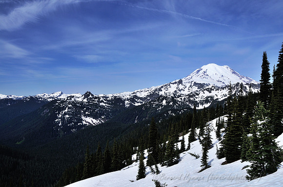 D300_88388