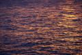 D300_58035
