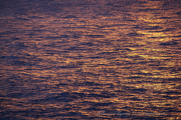 D300_58035