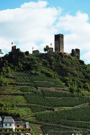 D70_17893
