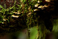 D70_12333