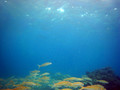SD800_58184