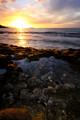 D300_58391