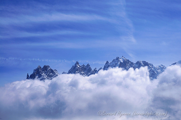 D300_84278