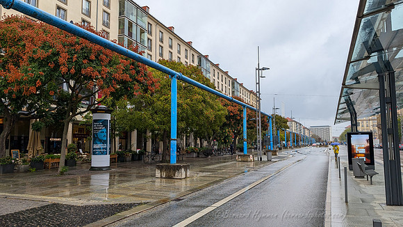 PXL_20240913_095914364