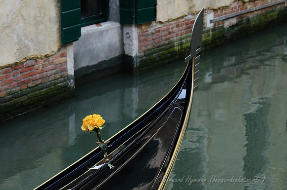 D300_44682.jpg