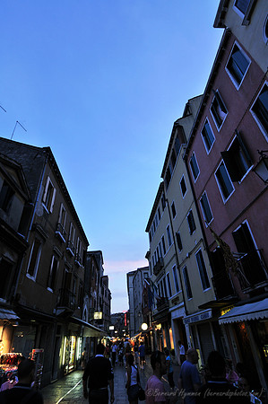 D300_47627.jpg