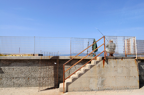 D300_46670.jpg