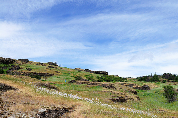 D300_96171