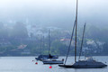 D300_73957