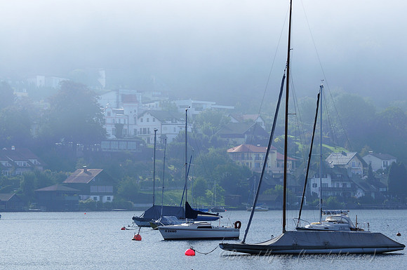 D300_73957