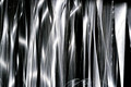 D300_62811