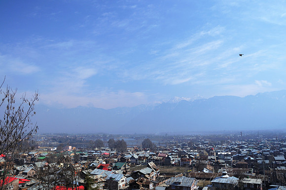 D300_70454