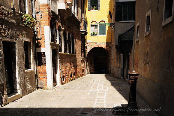 D300_45395.jpg
