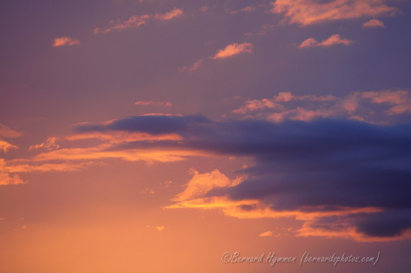 D300_58052