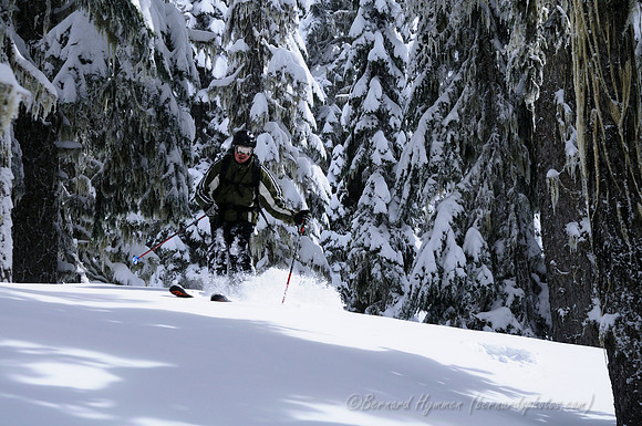 D300_95815