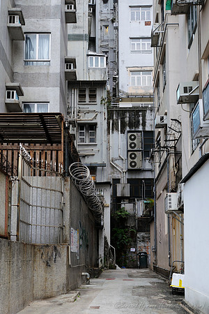 D300_70902