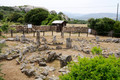 D300_47231.jpg