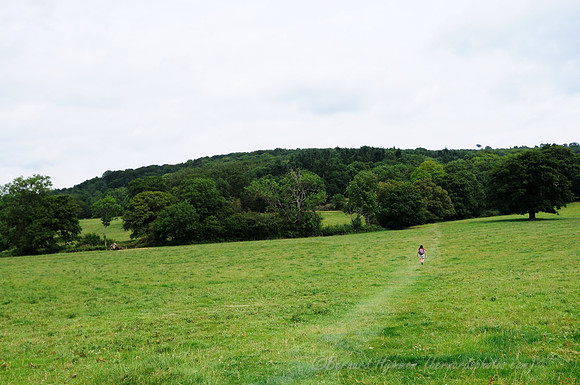 D300_99007