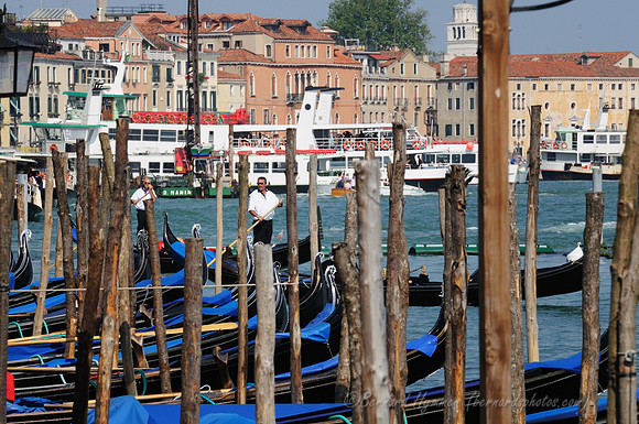 D300_44576.jpg