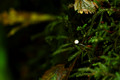D70_12326