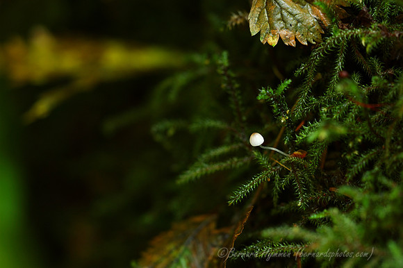D70_12326