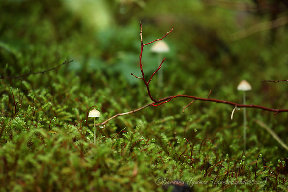 D70_12316