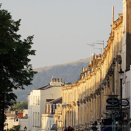 D300_98954
