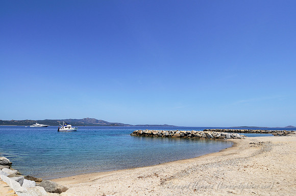 D300_45864.jpg