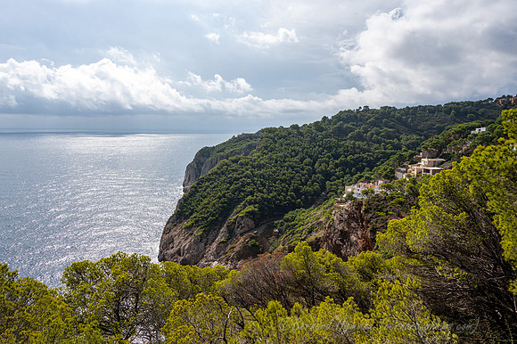 Z6_186958