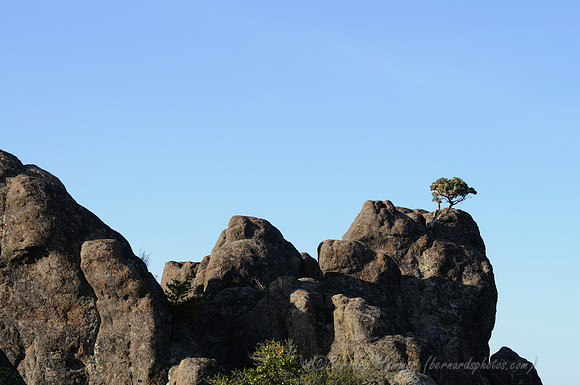D300_32097