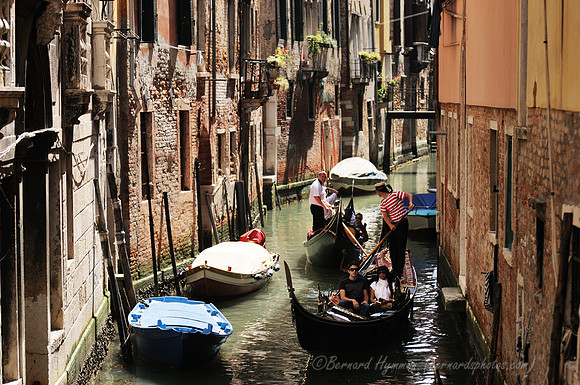 D300_44790.jpg
