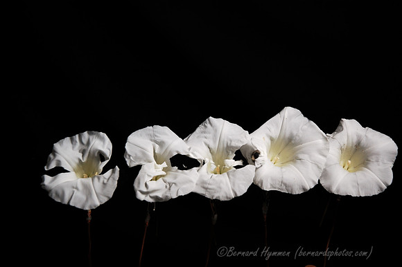 D70_22840