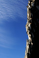 D300_73636