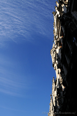 D300_73636
