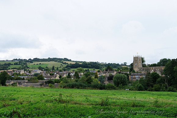 D300_99109