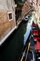 D300_44459.jpg