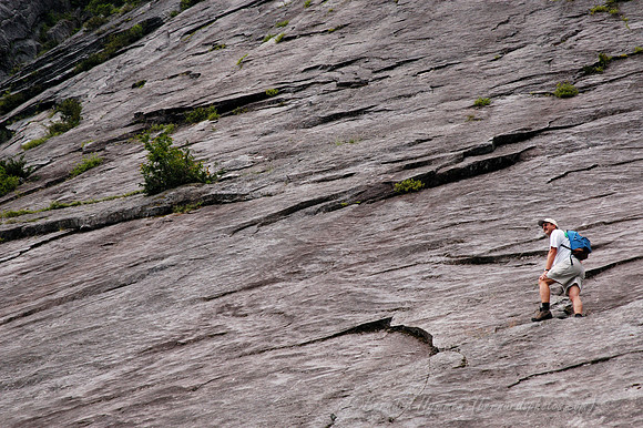 D70_01155
