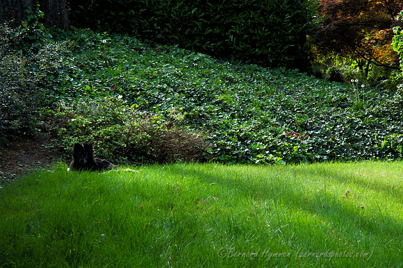 D70_21759.jpg