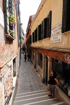 D300_44454.jpg