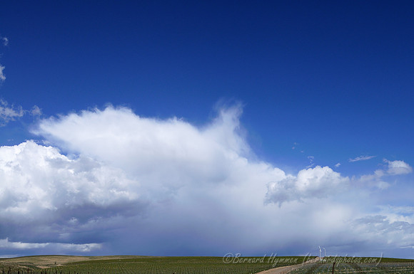 D300_96353