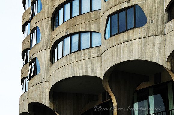 D300_64380